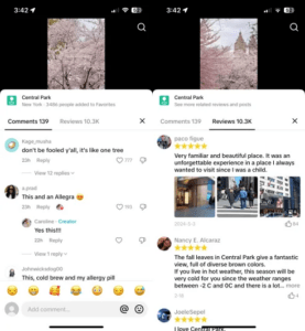 Screenshots of TikTok showing Central Park in NYC, with user reviews in the comments
